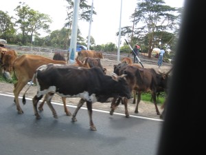 Drive from Nairobi to Kisumu 006